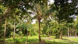 Land for sale in Mangas I, Cavite