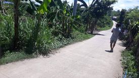 Land for sale in San Vicente, Cebu
