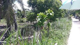 Land for sale in San Vicente, Cebu