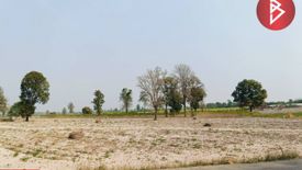 Land for sale in Nong Saeng, Chainat