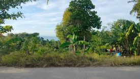 Land for sale in Genonocan, Bohol