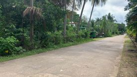 Land for sale in Catamboan, Siquijor