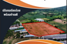 Land for sale in Thung Sukhla, Chonburi
