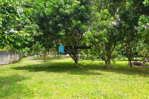 Land for sale in Apolong, Negros Oriental