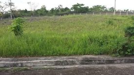 Land for sale in Tamiao, Cebu