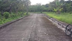 Land for sale in Tamiao, Cebu