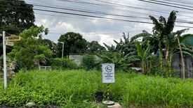 Land for sale in Don Bosco, Metro Manila