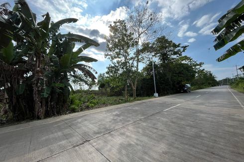 Land for sale in Bolod, Bohol