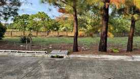 Land for sale in Abilay Norte, Iloilo