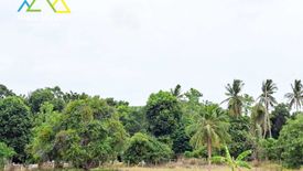 Land for sale in Bo Phut, Surat Thani