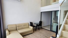 1 Bedroom Condo for rent in The Tree Pattanakarn - Ekkamai, Suan Luang, Bangkok near Airport Rail Link Ramkhamhaeng