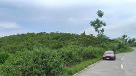 Land for sale in San Roque, Bohol