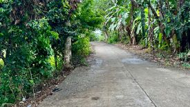 Land for sale in Iba, Cavite