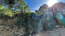 Land for sale in Harrison-Claudio Carantes, Benguet