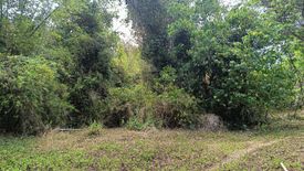 Land for sale in Salog, Bohol