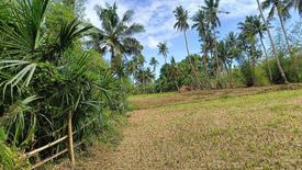 Land for sale in Salog, Bohol