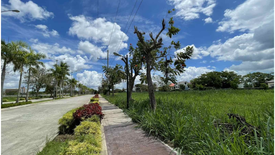 Land for sale in Pulong Santa Cruz, Laguna
