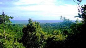 Land for sale in Manalo, Palawan