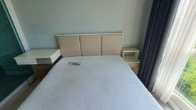 1 Bedroom Condo for rent in Zelle Salaya, Salaya, Nakhon Pathom