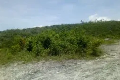 Land for sale in Mangyan, Cebu