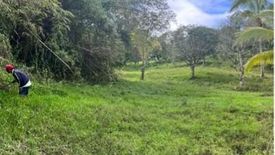 Land for sale in Guba, Cebu