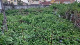 Land for sale in Subabasbas, Cebu