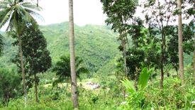 Land for sale in Bairan, Cebu