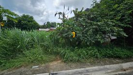 Land for sale in Dolores, Rizal