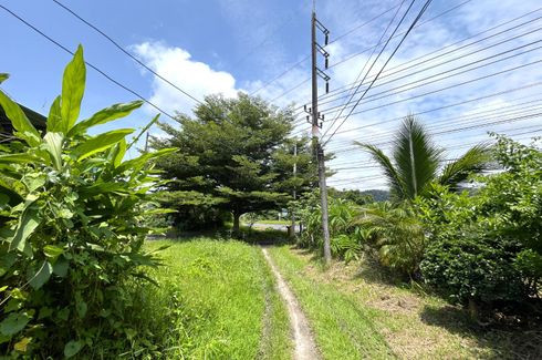 ขายที่ดิน ใน โคกกลอย, ตะกั่วทุ่ง