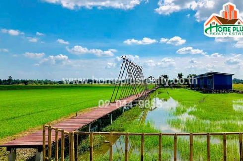 Land for sale in Thon Samo, Sing Buri