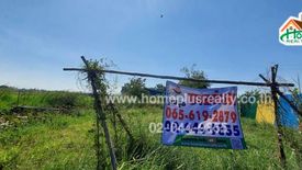 Land for sale in Thon Samo, Sing Buri