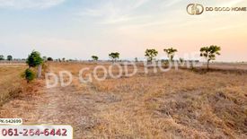 Land for sale in Ban Khong, Suphan Buri