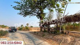 Land for sale in Ban Khong, Suphan Buri