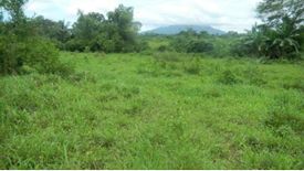 Land for sale in Sirang Lupa, Laguna