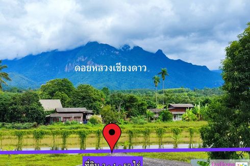 Land for sale in Chiang Dao, Chiang Mai