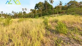 Land for sale in Bo Phut, Surat Thani