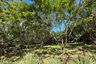 Land for sale in Barangay II-C, Laguna