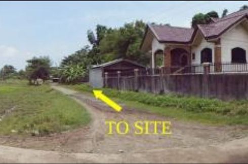 Land for sale in Abagon, Tarlac