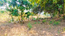 Land for sale in Saphan Hin, Chainat