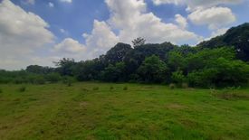 Land for sale in Bukal, Batangas