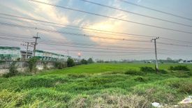 Land for sale in Nong Phueng, Chiang Mai