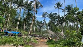 Land for sale in Maysan, Metro Manila