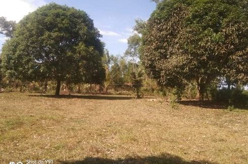 Land for sale in Millan, Guimaras