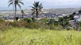 Land for sale in Quiot Pardo, Cebu