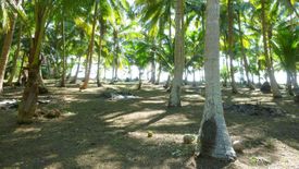 Land for sale in Tha Taphao, Chumphon