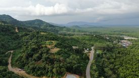 Land for sale in Khlong Khian, Phang Nga