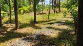 Land for sale in Majada Labas, Laguna
