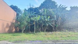 Land for sale in Dolores, Rizal
