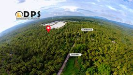 Land for sale in Tagakpan, Davao del Sur