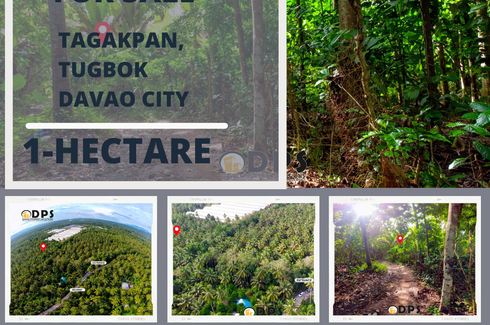 Land for sale in Tagakpan, Davao del Sur